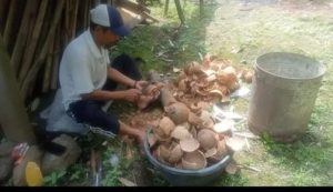 img 20251005 wa0000
